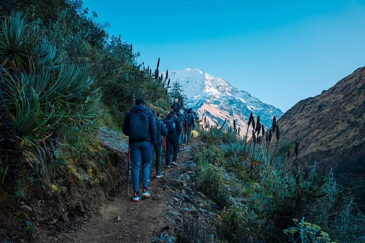 Gruppe beim Wandern auf einem felsigen Bergweg mit schneebedeckten Gipfeln